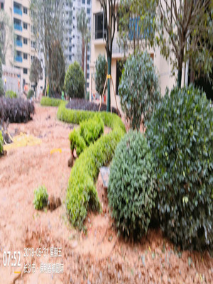 园林施工现场10