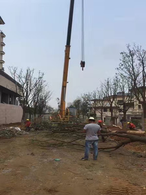 园林施工现场27