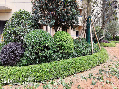 园林施工现场23